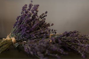 Dried Lavender Bunch